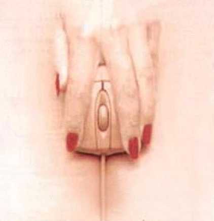 Bob Dylan v&aring;gar visa sitt r&auml;tta jag